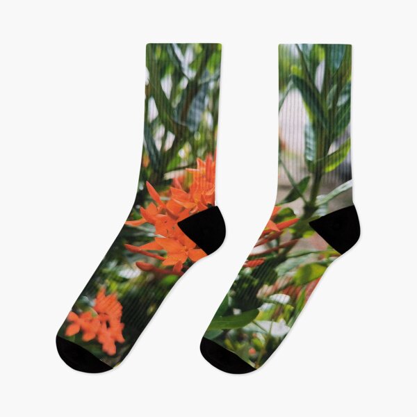 Item preview, needle flower t shirt,nature background,flower background,needle flower wall art. designed and sold by Native-shop.