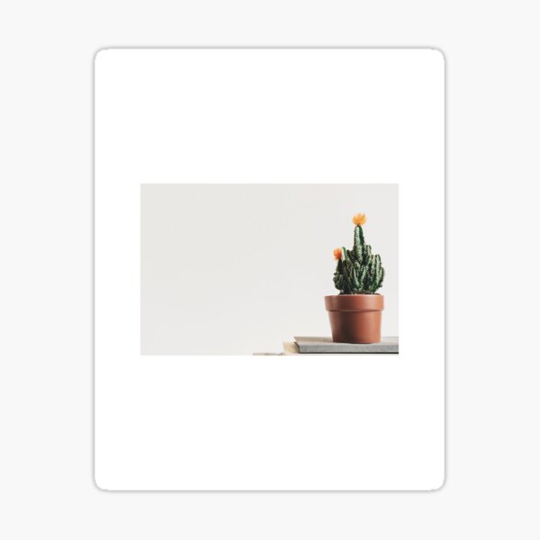 Cactus Sticker