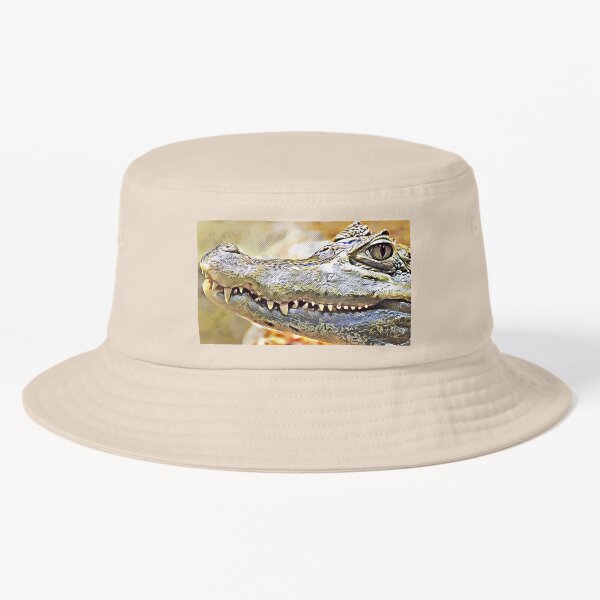 Swamp Bucket Hat for Sale by chatzous