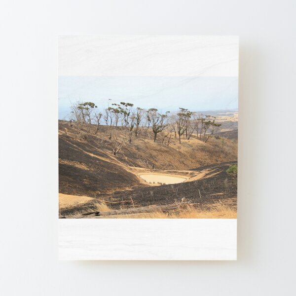After 2020 Kangaroo Island Fire - Burnt to the Horizon Wood Mounted Print