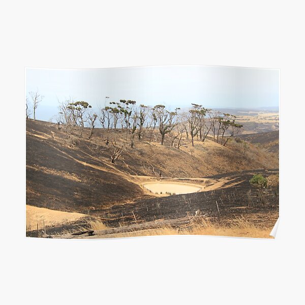 After 2020 Kangaroo Island Fire - Burnt to the Horizon Poster