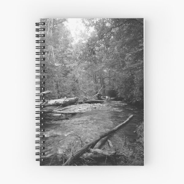 Artikelvorschau, Oconaluftee River - Great Smokey Mountains entworfen und verkauft von Bill Wetmore.