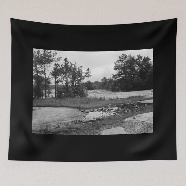 Item preview, Frog Pond designed and sold by Bill Wetmore.