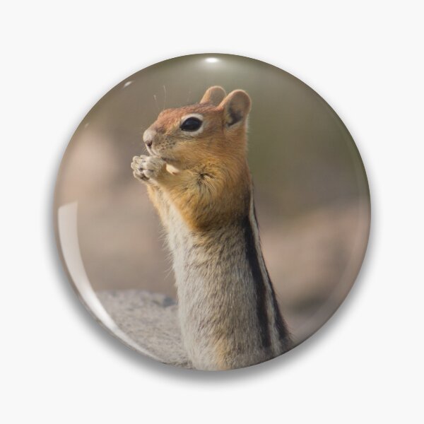Item preview, Chipmunk designed and sold by Ally Mon Wai.