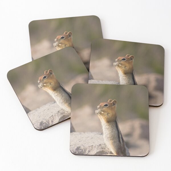 Item preview, Chipmunk designed and sold by Ally Mon Wai.