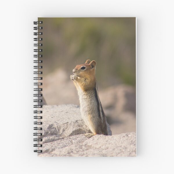 Item preview, Chipmunk designed and sold by Ally Mon Wai.
