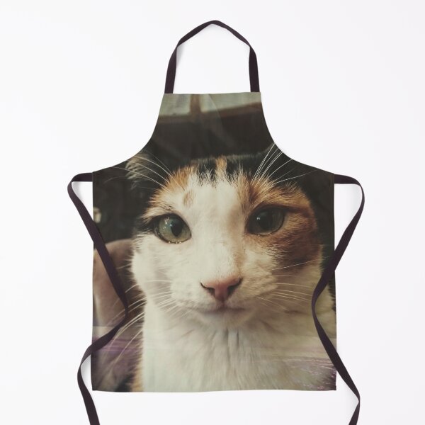 Item preview, lost in space cat designed and sold by vicovm3.