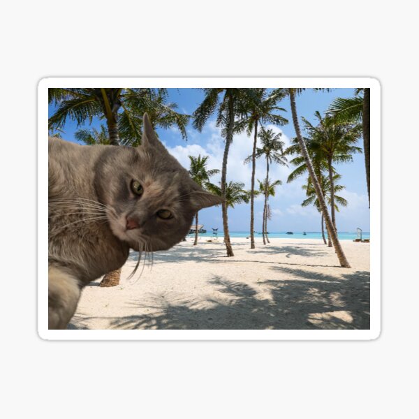Beach vibes Sticker