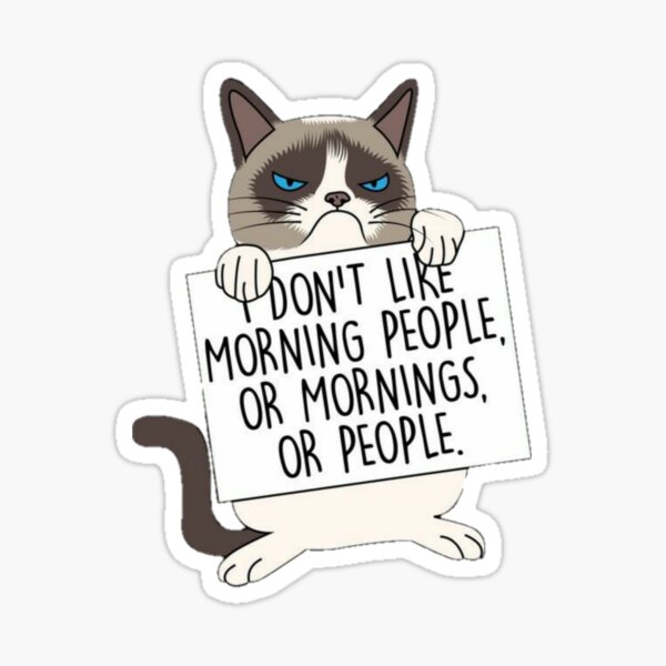 Morning cats morning quotes Sticker