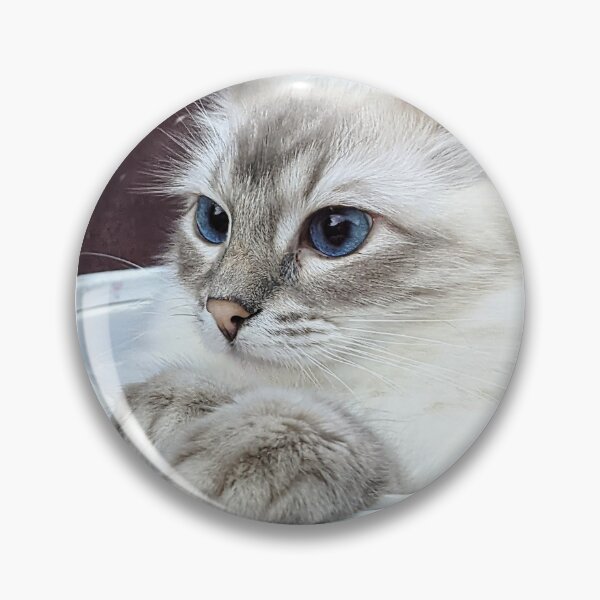 Item preview, Saoirse the lynx ragdoll designed and sold by Fluffycat2020.