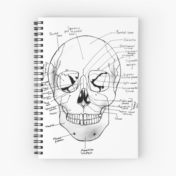 Item preview, Labeled Skull designed and sold by Marjorie Madrid.