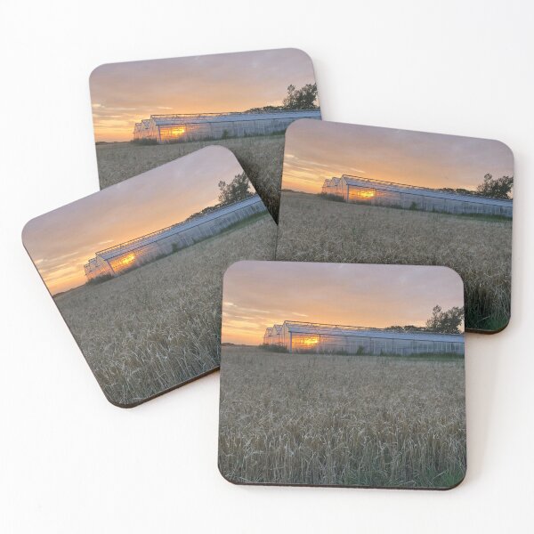 Item preview, Greenhouse in sunset designed and sold by elaine-gregers.