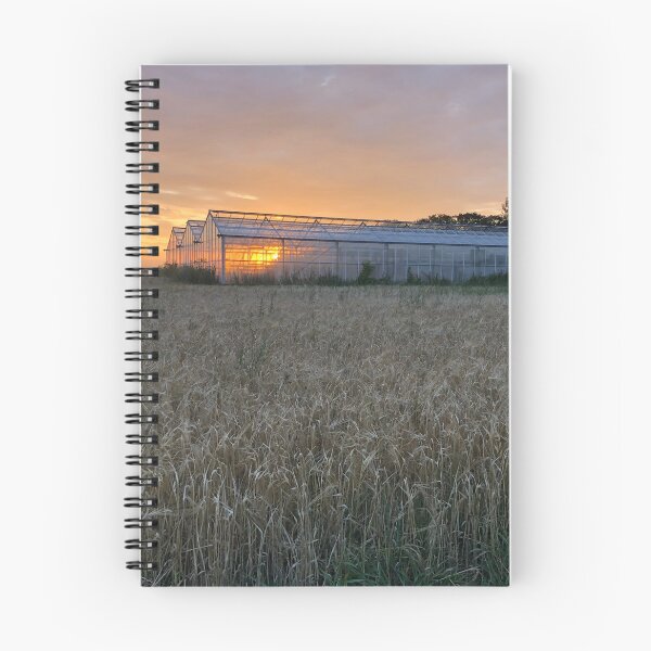 Item preview, Greenhouse in sunset designed and sold by elaine-gregers.