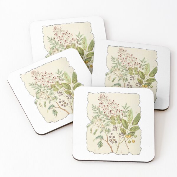 Item preview, Vintage Botanical Floral Flower Plant Art Drawing designed and sold by PodiShawna.