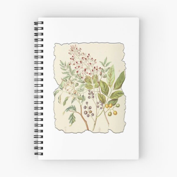 Item preview, Vintage Botanical Floral Flower Plant Art Drawing designed and sold by PodiShawna.