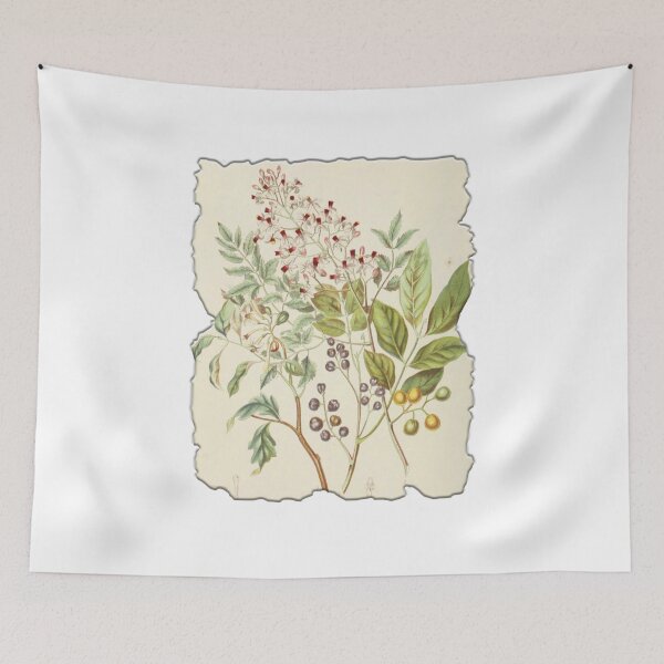 Item preview, Vintage Botanical Floral Flower Plant Art Drawing designed and sold by PodiShawna.