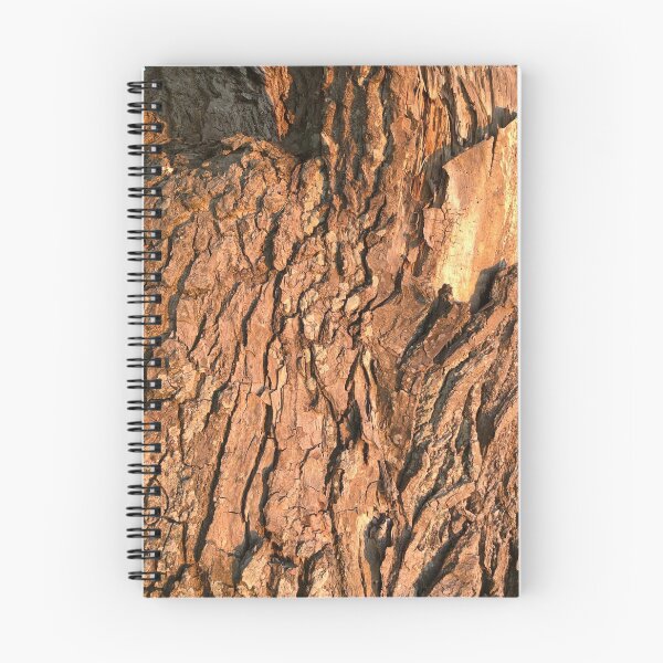 Aperçu de l'œuvre Bark créée et vendue par elaine-gregers.