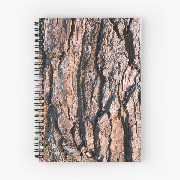 Aperçu de l'œuvre Wooden bark créée et vendue par elaine-gregers.
