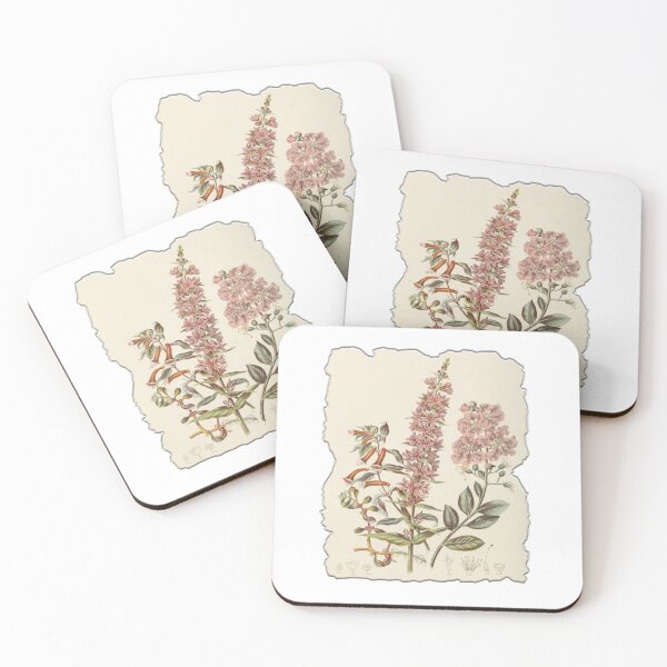Item preview, Vintage Botanical Floral Flower Plant Art Drawing designed and sold by PodiShawna.