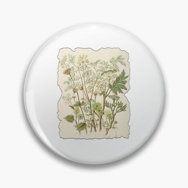 Item preview, Vintage Botanical Floral Flower Plant Art Drawing designed and sold by PodiShawna.
