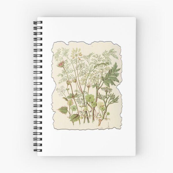 Item preview, Vintage Botanical Floral Flower Plant Art Drawing designed and sold by PodiShawna.