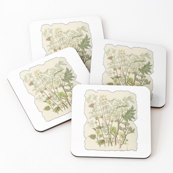 Item preview, Vintage Botanical Floral Flower Plant Art Drawing designed and sold by PodiShawna.