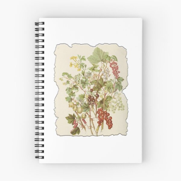 Item preview, Vintage Botanical Floral Flower Plant Art Drawing designed and sold by PodiShawna.