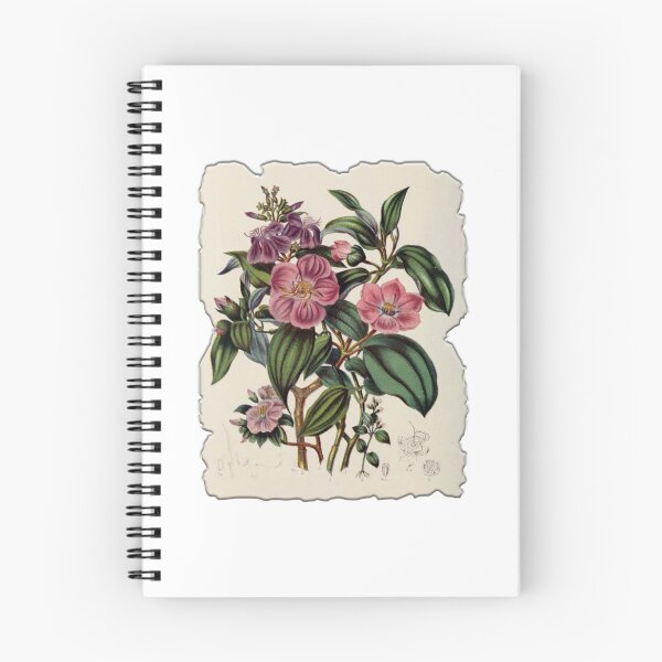 Item preview, Vintage Botanical Floral Flower Plant Art Drawing designed and sold by PodiShawna.