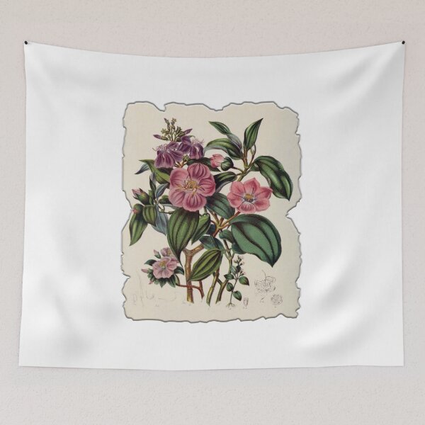 Item preview, Vintage Botanical Floral Flower Plant Art Drawing designed and sold by PodiShawna.