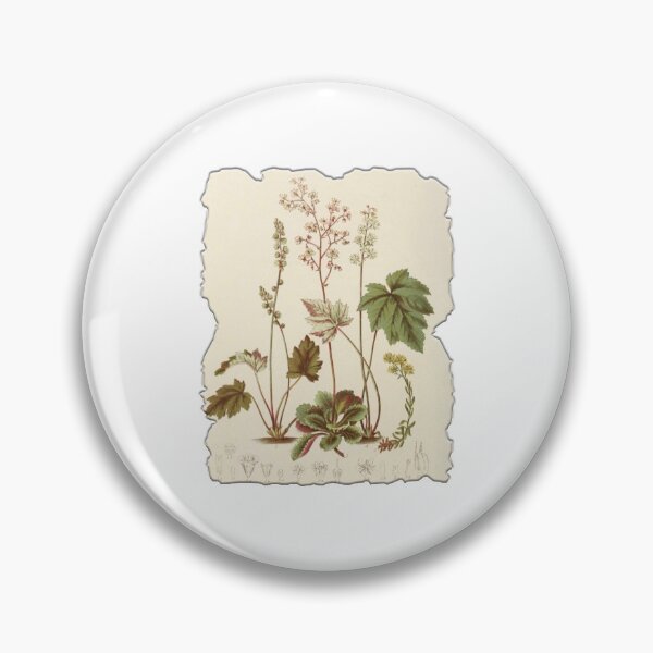 Item preview, Vintage Botanical Floral Flower Plant Art Drawing designed and sold by PodiShawna.