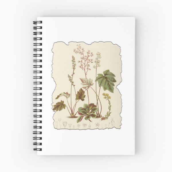 Item preview, Vintage Botanical Floral Flower Plant Art Drawing designed and sold by PodiShawna.