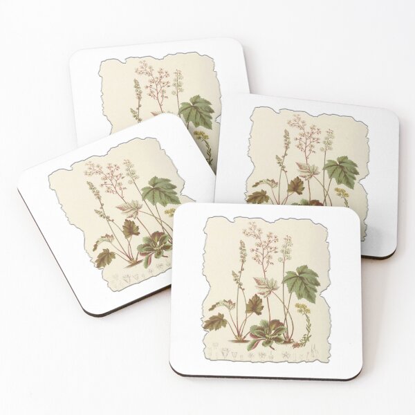 Item preview, Vintage Botanical Floral Flower Plant Art Drawing designed and sold by PodiShawna.