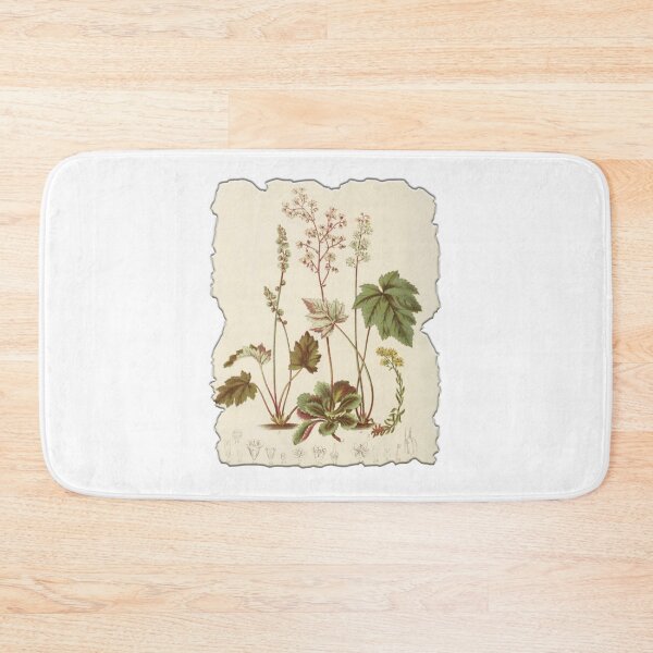 Item preview, Vintage Botanical Floral Flower Plant Art Drawing designed and sold by PodiShawna.