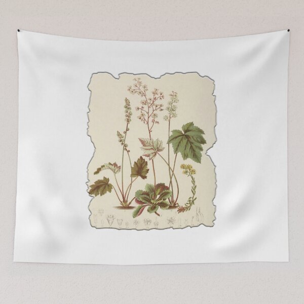 Item preview, Vintage Botanical Floral Flower Plant Art Drawing designed and sold by PodiShawna.