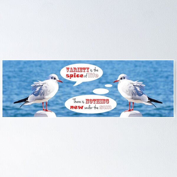 Philosophical Seagulls Variety is the Spice of Life Poster