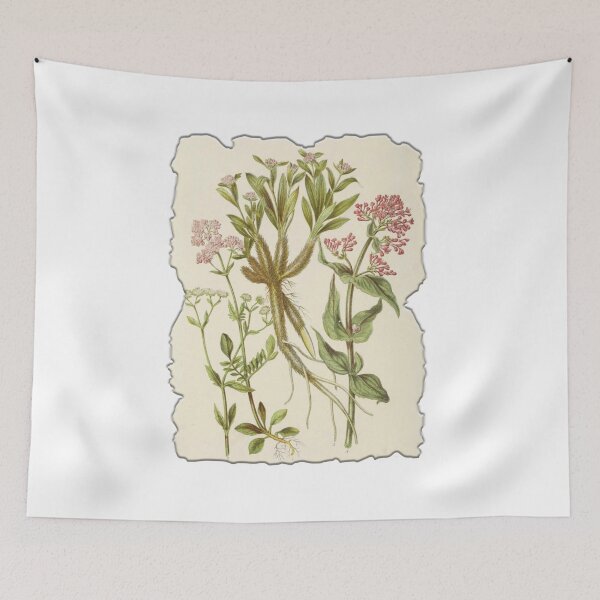 Item preview, Vintage Botanical Floral Flower Plant Art Drawing designed and sold by PodiShawna.