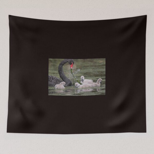 Item preview, Cygnet Education  designed and sold by byronbackyard.