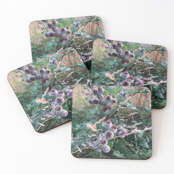 Artikelvorschau, Cactus Wild flowers entworfen und verkauft von elaine-gregers.