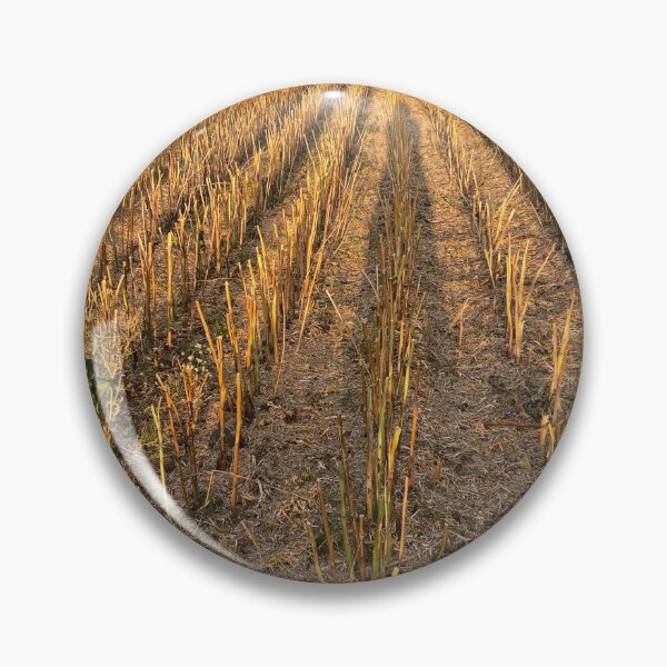Item preview, Field after harvesting designed and sold by elaine-gregers.