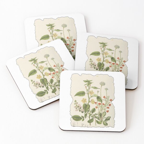 Item preview, Vintage Botanical Floral Flower Plant Art Drawing designed and sold by PodiShawna.