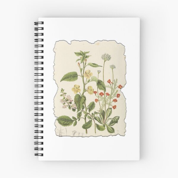 Item preview, Vintage Botanical Floral Flower Plant Art Drawing designed and sold by PodiShawna.
