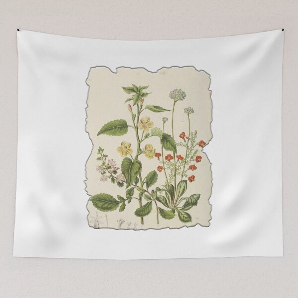 Item preview, Vintage Botanical Floral Flower Plant Art Drawing designed and sold by PodiShawna.