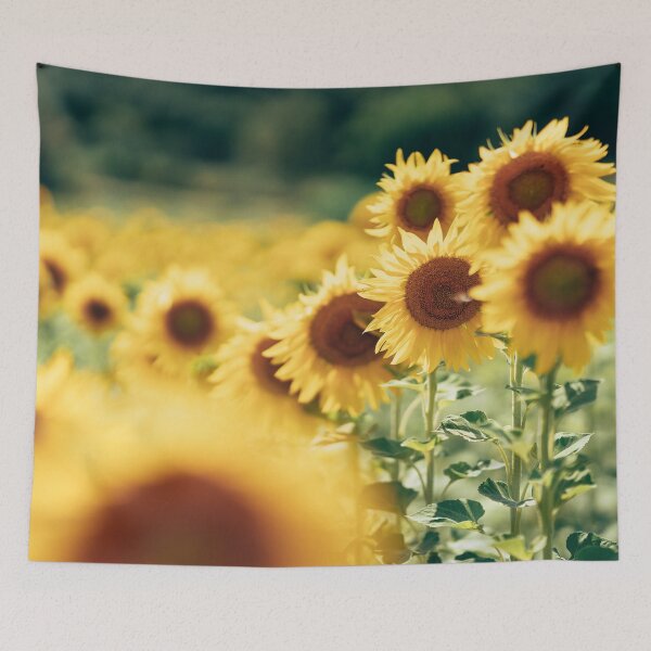 Item preview, sunflower field  designed and sold by franckreporter.