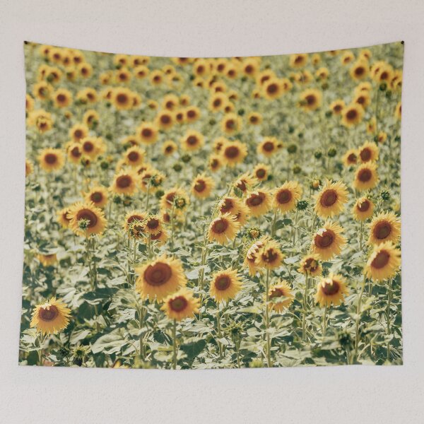 Item preview, sunflower field background designed and sold by franckreporter.