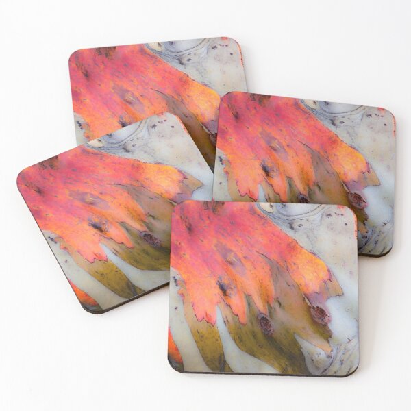 Item preview, snowgum curls designed and sold by Brett Thompson.