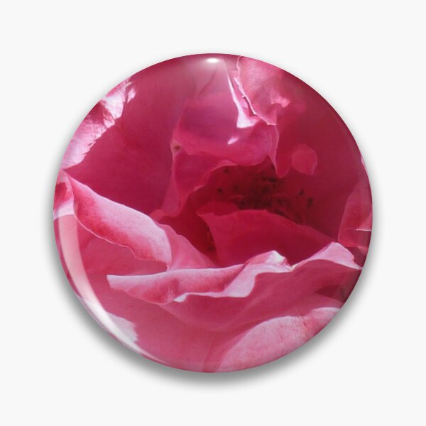 Item preview, Glowing open pink rose designed and sold by SarahDownunder.
