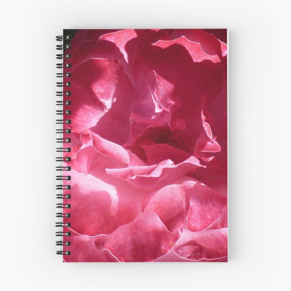 Item preview, Glowing open pink rose designed and sold by SarahDownunder.