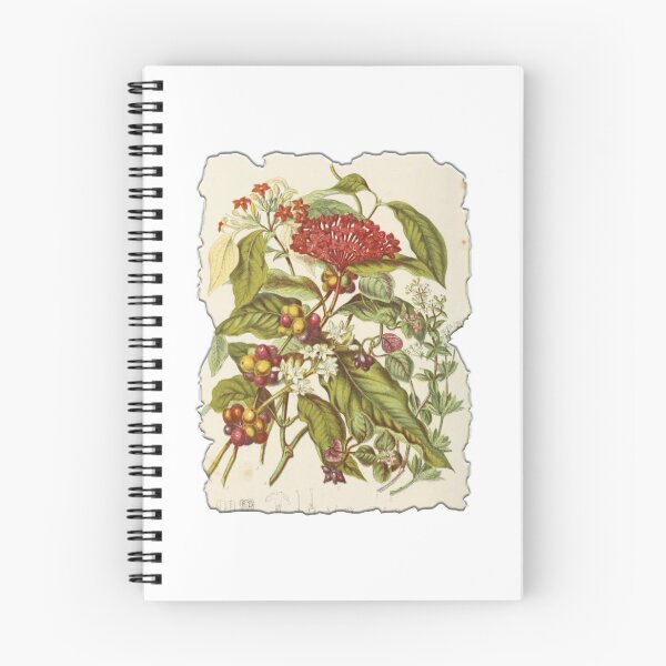Item preview, Vintage Botanical Floral Flower Plant Art Drawing designed and sold by PodiShawna.