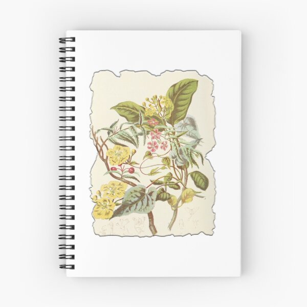 Item preview, Vintage Botanical Floral Flower Plant Art Drawing designed and sold by PodiShawna.