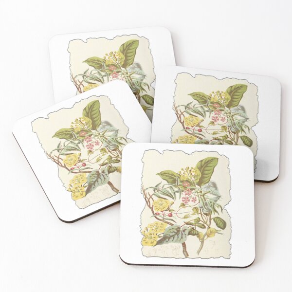 Item preview, Vintage Botanical Floral Flower Plant Art Drawing designed and sold by PodiShawna.